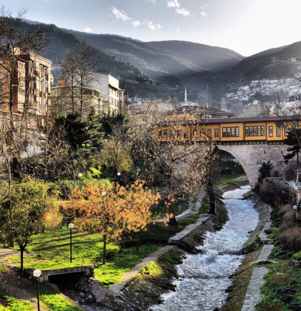 Bursa Tuları